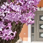 アパート Casa Delicosta- 2 Flat With Garden, 15 Min From