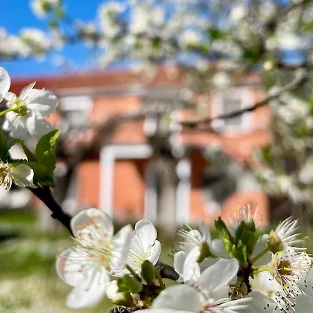 Casa Delicosta- 2 Flat With Garden, 15 Min From