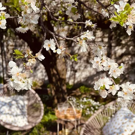 Casa Delicosta- 2 Flat With Garden, 15 Min From